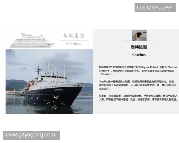 探索奥蓬达的魅力与历史深度揭示其在当代文化中的重要性与影响力